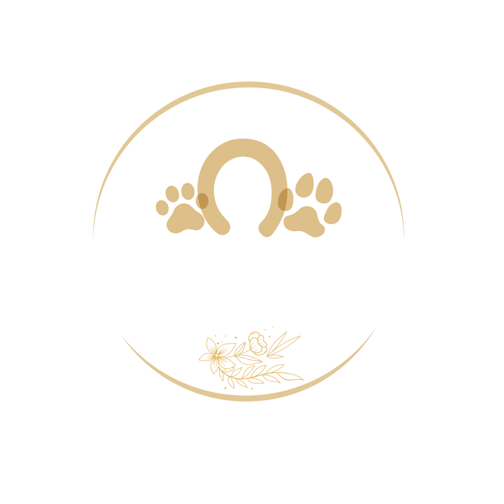logo Anim'Essence