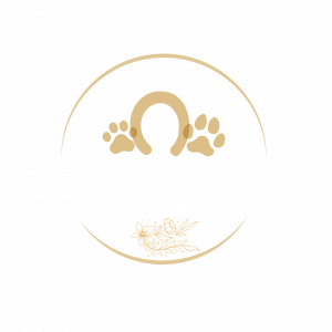 logo Anim'Essence